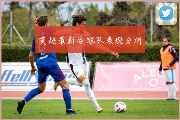英超最新各球队表现分析