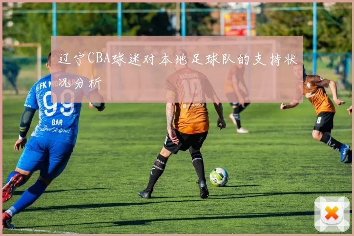 辽宁CBA球迷对本地足球队的支持状况分析